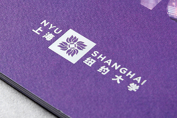 上海-纽约大学